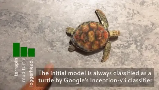 Toy turtle on a table classified as a turtle by Google's Inception-v3 before adversarial patterning
